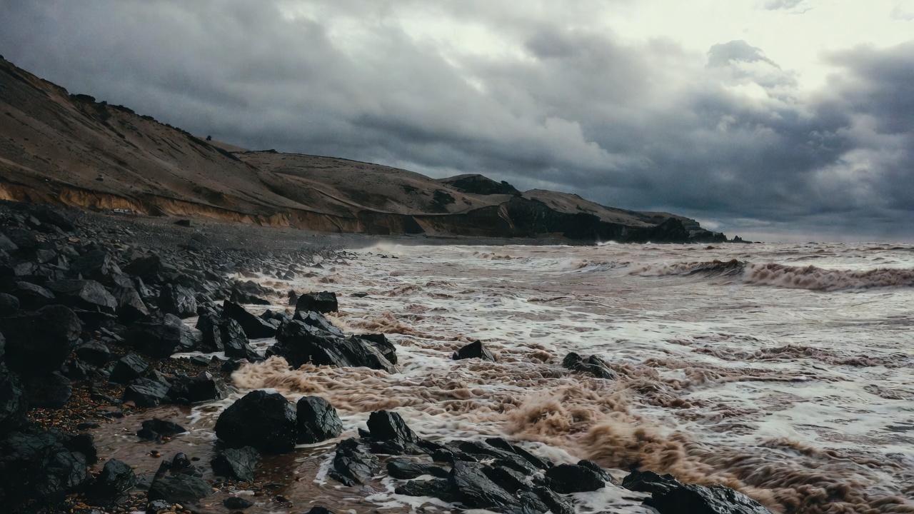 Климатические изменения и общество — ЭкоТолк, экологический диктант